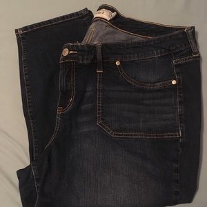Torrid Dark Wash Jean - 22